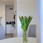 Apartamento Aurelia - Terrace With Lemon Garden View Pula